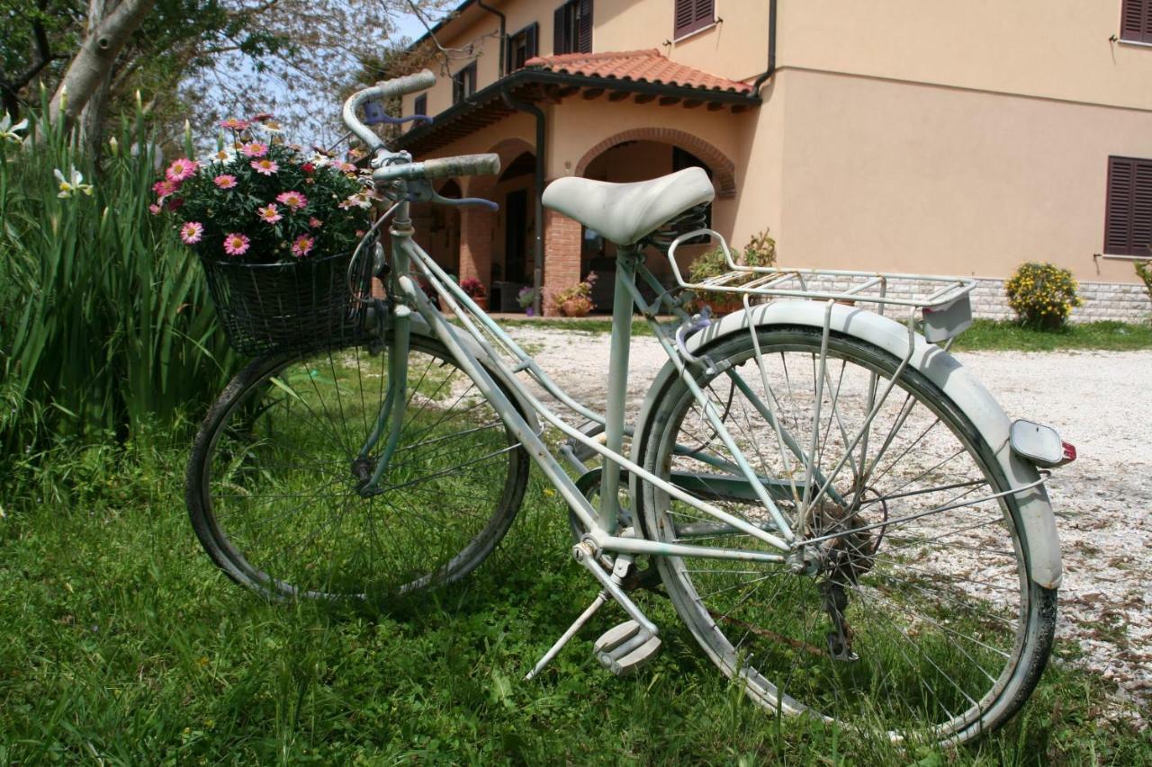 Agriturismo Diciocco Venturina Terme Εξωτερικό φωτογραφία
