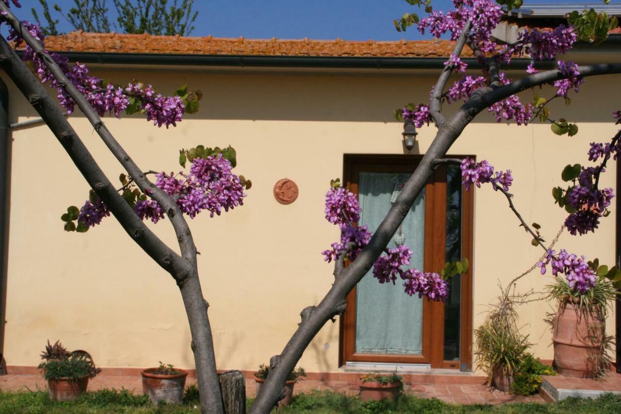 Agriturismo Diciocco Venturina Terme Εξωτερικό φωτογραφία