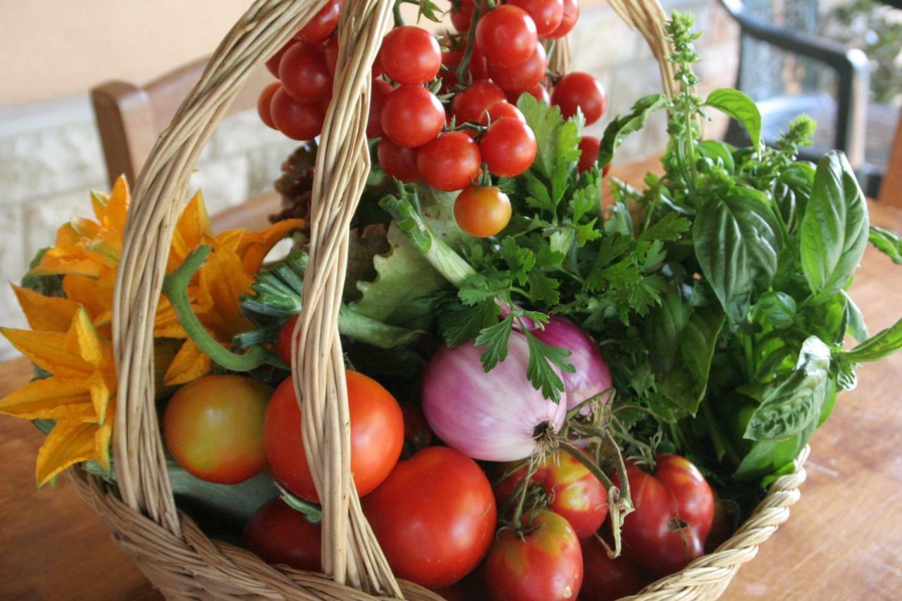 Agriturismo Diciocco Venturina Terme Εξωτερικό φωτογραφία