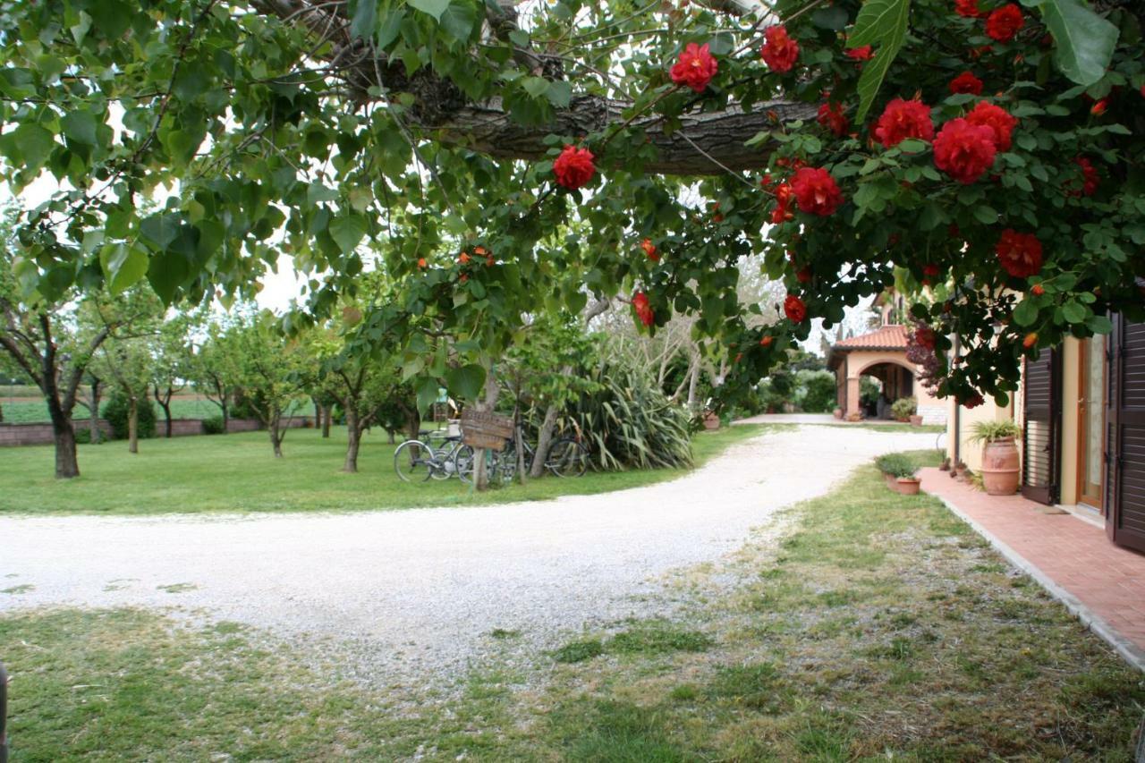 Agriturismo Diciocco Venturina Terme Εξωτερικό φωτογραφία